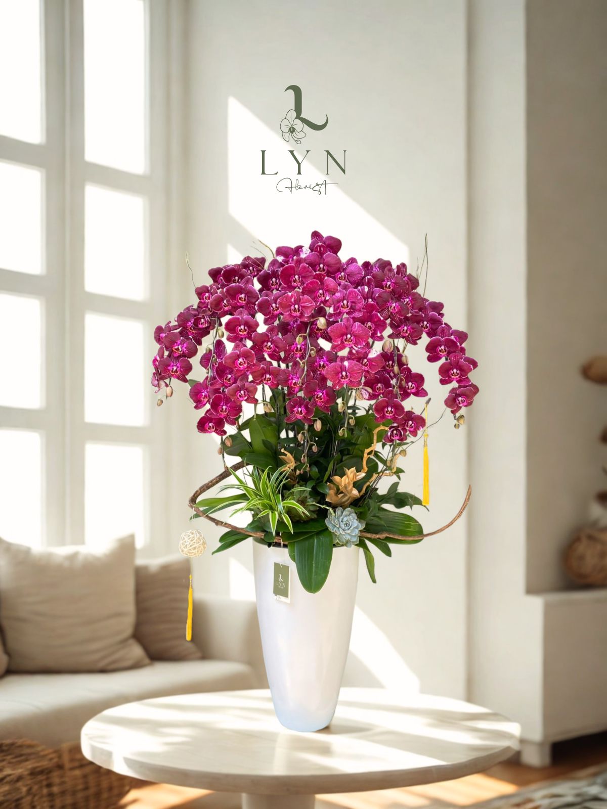 Chậu Hoa Lan Hồ Điệp Tím Đột Biến